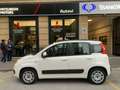 Fiat Panda Panda 1.2 Easy Weiß - thumbnail 8