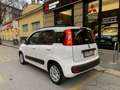 Fiat Panda Panda 1.2 Easy Weiß - thumbnail 10