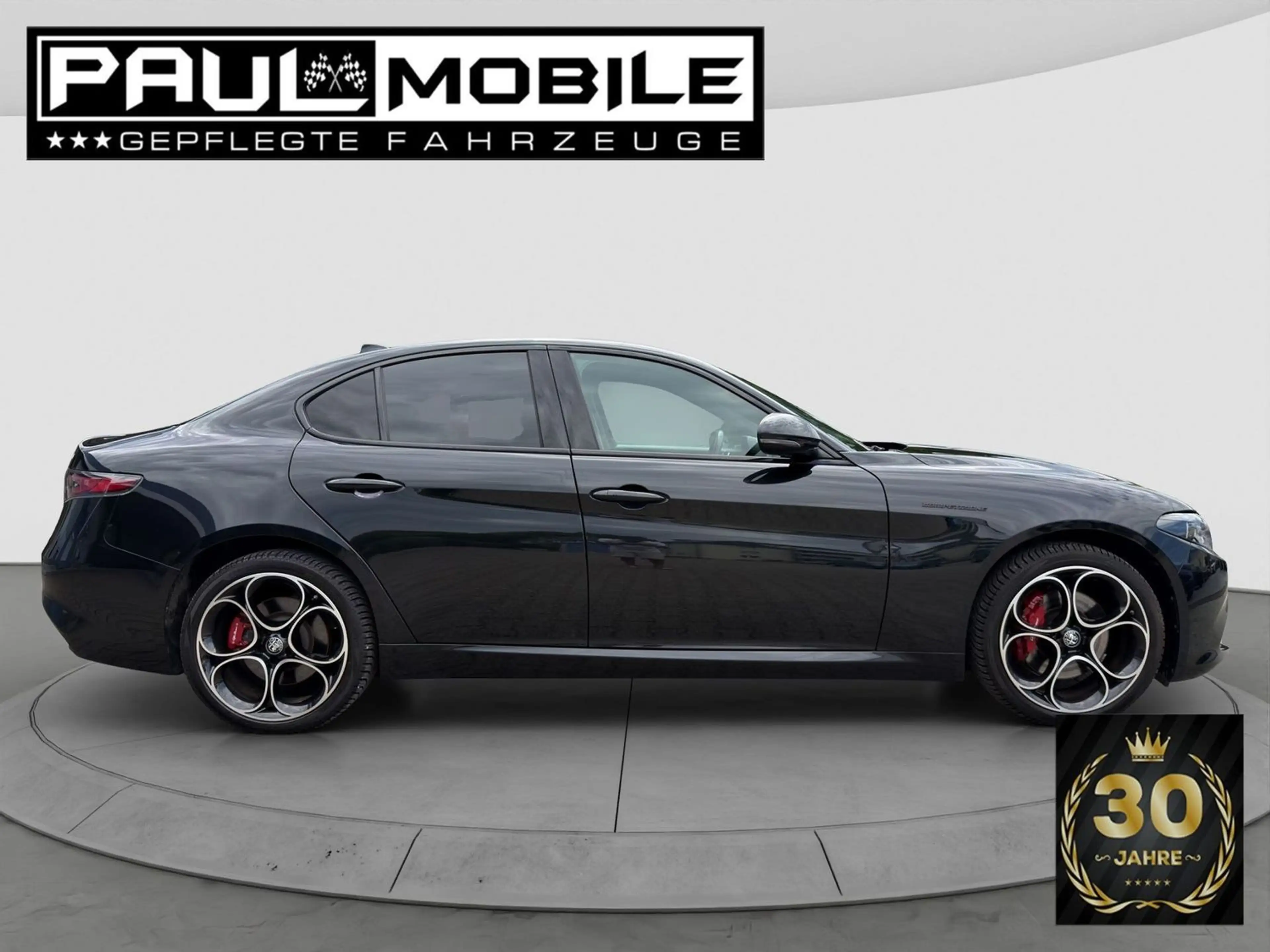 Alfa Romeo Giulia Competizione Q4 Navi ACC Matrix-LED R-Cam — photo 7