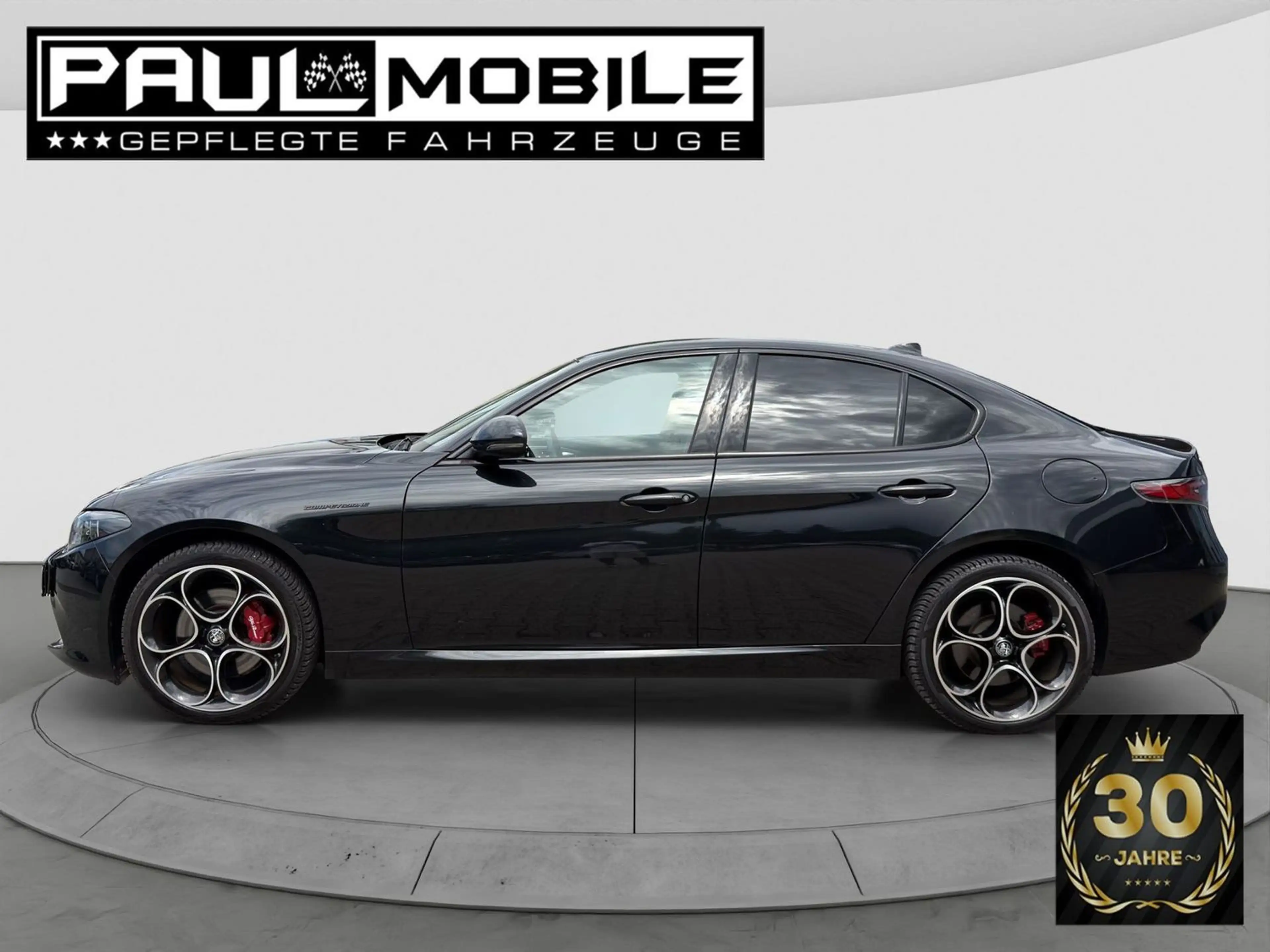 Alfa Romeo Giulia Competizione Q4 Navi ACC Matrix-LED R-Cam — photo 8