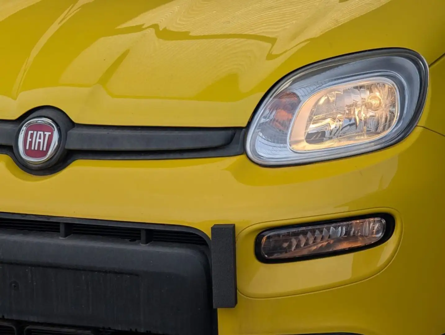 Fiat Panda 1.0 FireFly S&S Hybrid Pandina Giallo - 2