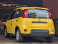 Fiat Panda 1.0 FireFly S&S Hybrid Pandina Giallo - thumbnail 5