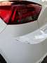 SEAT Ibiza Ibiza 1,0 ECO TSI Xcellence DSG Xcellence Weiß - thumbnail 6