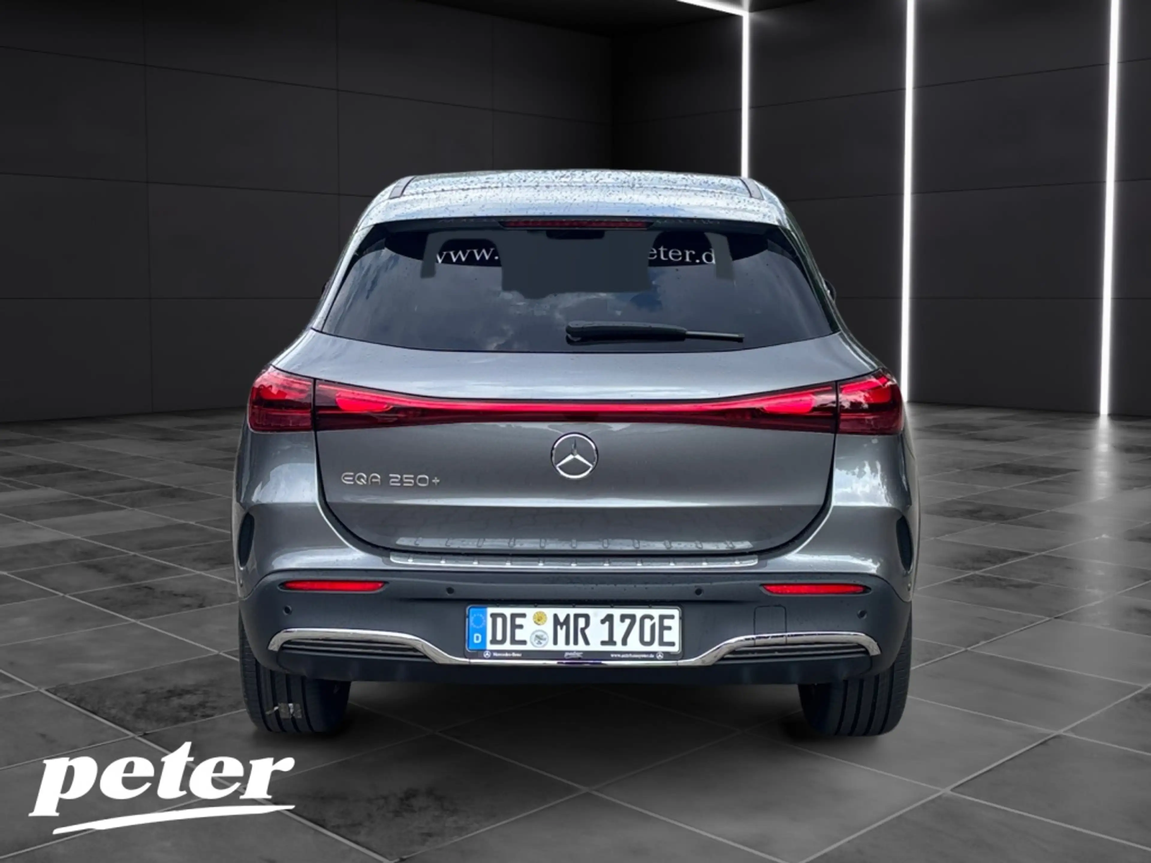 Mercedes-Benz EQA 250 + AMG*AHV*Soundsystem — photo 4