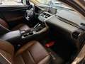 Lexus NX 300h Exécutive LINE Goud - thumbnail 10