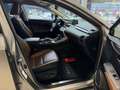 Lexus NX 300h Exécutive LINE Goud - thumbnail 11