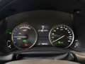 Lexus NX 300h Exécutive LINE Goud - thumbnail 14
