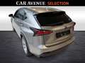 Lexus NX 300h Exécutive LINE Goud - thumbnail 3