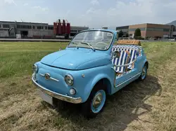Fiat 500 500 1967