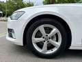 Audi A6 40 TDI sport Weiß - thumbnail 20
