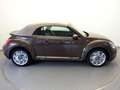Volkswagen Beetle Cabriolet TSi 105pk Design Executive 50dkm! Brun - thumbnail 3