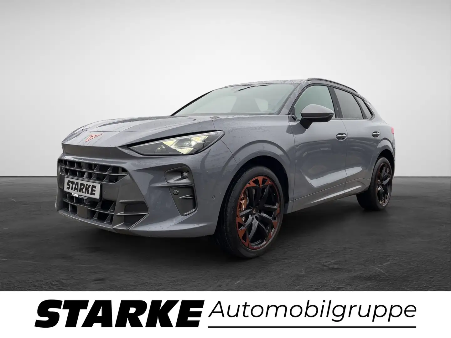 CUPRA Terramar VZ 2.0 TSI DSG 4Drive Grau - 2