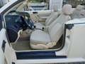 Volkswagen New Beetle CABRIOLET *RESTYLING* 1.9 TDI 105 CV- HERVEST MOON Beige - thumbnail 10