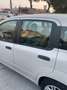 Fiat Panda 1200 GPL 1 PROPRIETARIO euro6 Beige - thumbnail 6