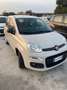 Fiat Panda 1200 GPL 1 PROPRIETARIO euro6 Beige - thumbnail 2