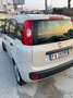 Fiat Panda 1200 GPL 1 PROPRIETARIO euro6 Beige - thumbnail 5