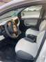 Fiat Panda 1200 GPL 1 PROPRIETARIO euro6 Beige - thumbnail 8