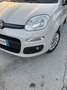 Fiat Panda 1200 GPL 1 PROPRIETARIO euro6 Beige - thumbnail 12