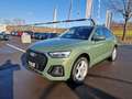 Audi Q5 SB 40 TDI quattro * S-LINE * PANORAMADACH Grün - thumbnail 6