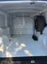 Fiat Doblo Doblo 1.4 tjt 16v natural power Easy 120cv my19 Blanc - thumbnail 12