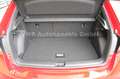 Skoda Fabia 1.0 TSI DSG Monte Carlo *17"*5J.Garantie* Rot - thumbnail 8