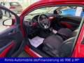 Opel Adam Rocks elektr. Faltdach Leder Berganf. 1.Hd Rouge - thumbnail 9