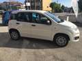 Fiat Panda Panda 1.2 Easy  NEOPATENTATI Bianco - thumbnail 5