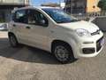 Fiat Panda Panda 1.2 Easy  NEOPATENTATI Bianco - thumbnail 1