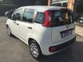 Fiat Panda Panda 1.2 Easy  NEOPATENTATI Bianco - thumbnail 4