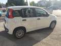 Fiat Panda Panda 1.2 Easy  NEOPATENTATI Bianco - thumbnail 7
