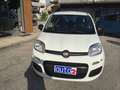 Fiat Panda Panda 1.2 Easy  NEOPATENTATI Bianco - thumbnail 11