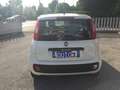Fiat Panda Panda 1.2 Easy  NEOPATENTATI Bianco - thumbnail 3