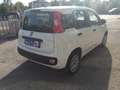 Fiat Panda Panda 1.2 Easy  NEOPATENTATI Bianco - thumbnail 6