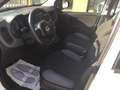 Fiat Panda Panda 1.2 Easy  NEOPATENTATI Bianco - thumbnail 8