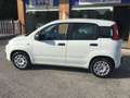 Fiat Panda Panda 1.2 Easy  NEOPATENTATI Bianco - thumbnail 2