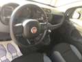 Fiat Panda Panda 1.2 Easy  NEOPATENTATI Bianco - thumbnail 15
