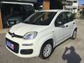 Fiat Panda Panda 1.2 Easy  NEOPATENTATI Bianco - thumbnail 10