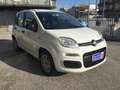 Fiat Panda Panda 1.2 Easy  NEOPATENTATI Bianco - thumbnail 12