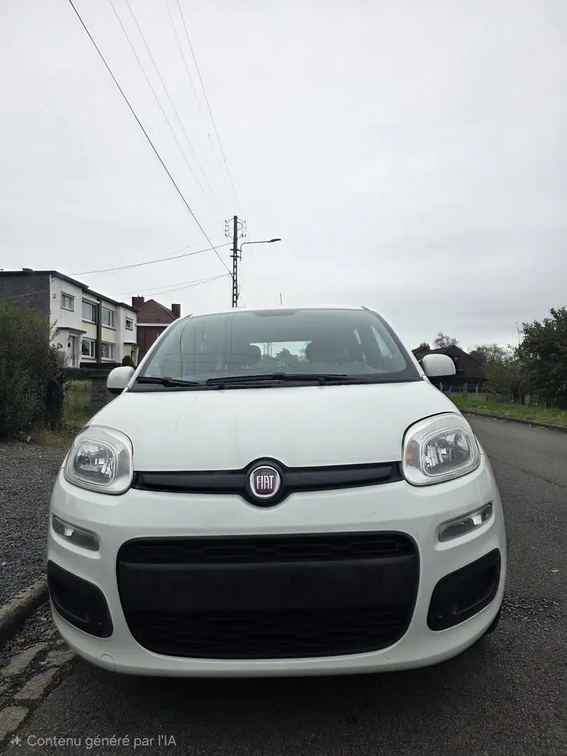 Fiat Panda 0.9 T TwinAir Street - 2