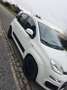 Fiat Panda 0.9 T TwinAir Street - thumbnail 9