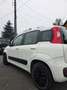 Fiat Panda 0.9 T TwinAir Street - thumbnail 4