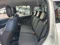 Fiat Panda Panda 0.9 t.air 85cv City Cross 4x4 Bianco - thumbnail 6