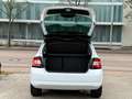 Skoda Fabia Style/Pano/CarPlay/SHZ/PDC Blanc - thumbnail 20