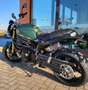 Benelli Leoncino 800 Verde - thumbnail 4