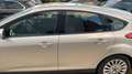 Ford Focus 5p 1.6 tdci Titanium dpf - thumbnail 8
