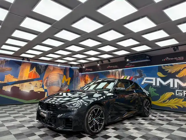 BMW M2 M2 (595)
