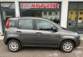 Fiat Panda 1.2 Easy NEO PATENTATI! Gris - thumbnail 4