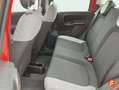 Fiat Panda City Life Hybrid 1.0 Gse 51kw (70CV) Rojo - thumbnail 19
