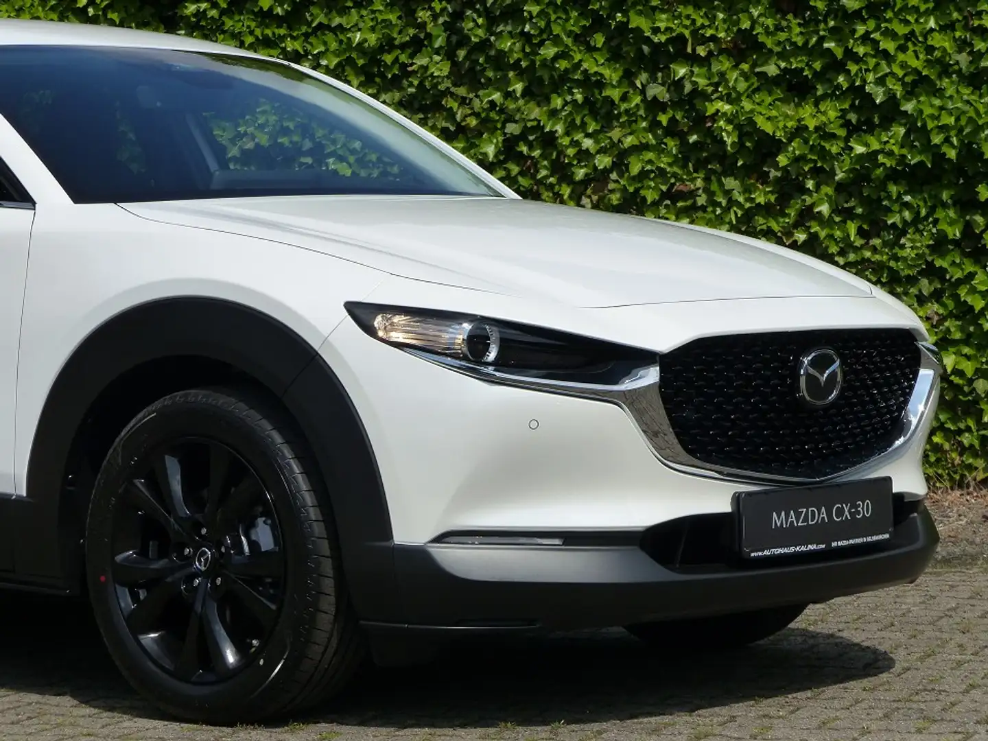 Mazda CX-30 2.5L e-SKYACTIV G 140ps 6AT FWD Homura Blanc - 2