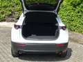 Mazda CX-30 2.5L e-SKYACTIV G 140ps 6AT FWD Homura Blanc - thumbnail 7